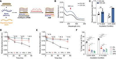 Enhancing the functionality of self-assembled immune signals using chemical crosslinks